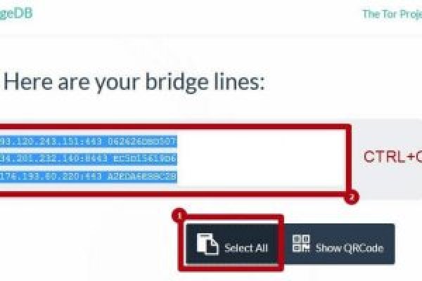 Рабочее зеркало на кракен