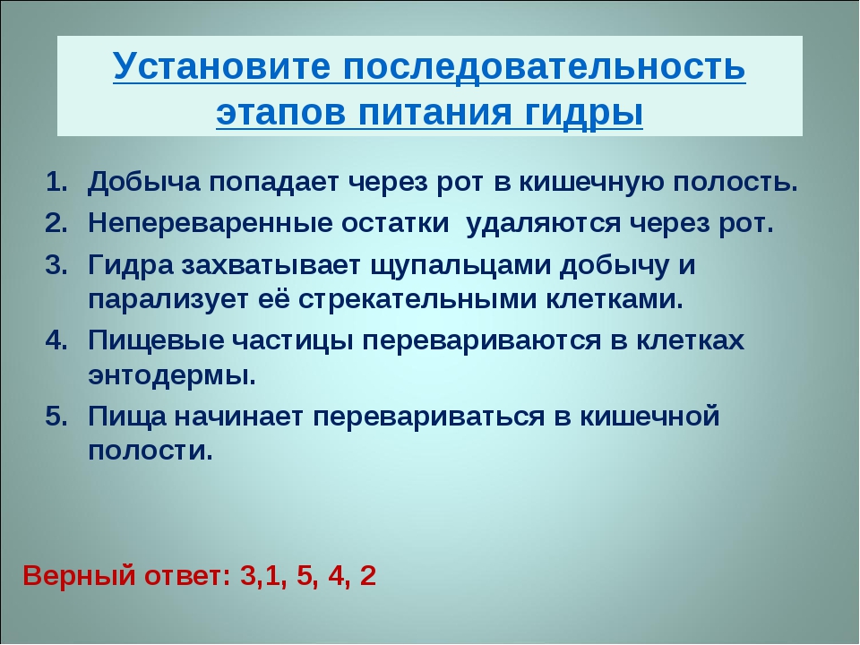 Кракен короткая ссылка