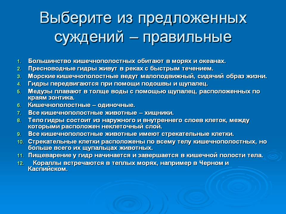 Тор кракен vk2 top